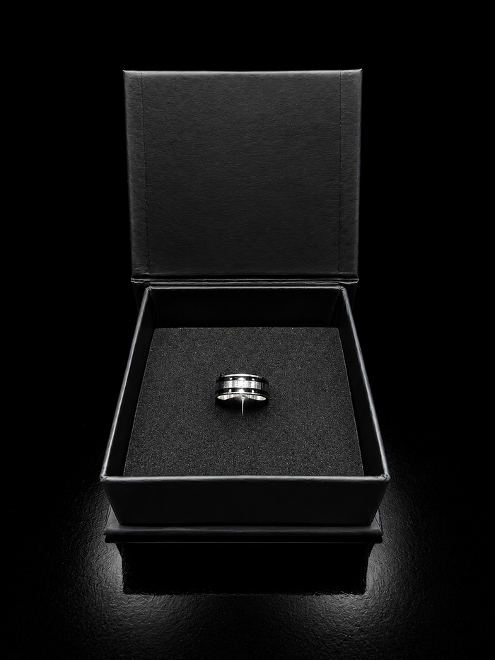 VIORA Silver Stainless Steel Dual-Stripe Ring with Center Stone for Men | Modern & Refined
